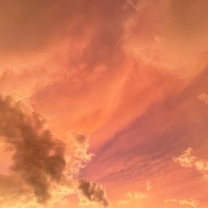 Meet your Posher, Brynn